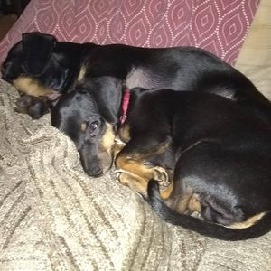 Meet your Posher, Deborah